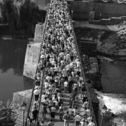Romagem. Travessia da ponte em Barcelos e chegada a Remelhe. Anualmente, no primeiro domingo de Setembro, um grupo de amigos, admiradores e devotos de D. António Barroso recordam a sua morte (31-8-1918), calcorreando, animadamente, com cânticos e orações, o trajecto que a urna, então vinda do Porto, de comboio, percorreu, entre a estação de Barcelos e o cemitério de Remelhe.