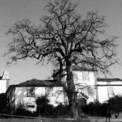 Remelhe. Casa da Torre de Moldes, onde residiam os senhores do mundo rural onde D. António Barroso nasceu.