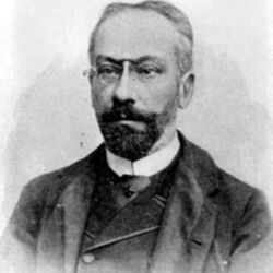 A ida de D. António Barroso para Moçambique está intimamente associada a António Enes. este foi nomeado Comissário Régio em Moçambique, em 19-6-1891, para presidir à missão que ia dar execução ao Tratado Luso-Britânico de 1891, e D. António foi nomeado pelo governo, para Prelado de Moçambique, em 12-2-1891, mediante proposta de António Enes. Foi confirmado em 1-7-1891, com o título de Bispo de Himéria, e ordenado na Sé patriarcal de Lisboa, em 5-7-1891. . Como governante da colónia do Índico, António Enes pôde apreciar no terreno a acção renovadora de D. António Barroso, que repetidamente elogiou.